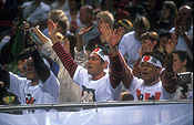 Australia, New South Wales, sydney, homebush, homebush stadium, stadium, stadiums, people, crowd, crowds.