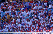 Australia, people, Sport pictures, Sports, child, children, stadium, stadiums, nsw, new South Wales, sydney, homesbush, arena, arenas, sports arena, sports arenas, sports stadium, sports stadium, crowd, crowds, sports ground, sports grounds.