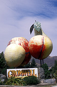 Pacific islands, new zealand, south island, cromwell, otago, central otago, rural, rural scene, rural scenes, big thing, big things, fruit, agriculture, sign, signs.