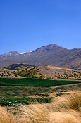 Pacific islands, new zealand, south island, otago, central otago, arrow town, vineyard, vineyards, wine, wine industry, industry, agriculture, rural, rural scene, rural scenes, grapevine, grapevines, mountain, mountains.