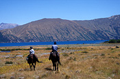 Pacific islands, new zealand, south island, animal, animals, people, horse, horses, horseride, horserides, horseriding, coleridge, lake coleridge, lake, lakes, mountain, mountains, outdoors.