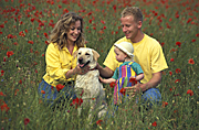 People, family, families, child, children, parent, parents, parenting, parenthood, mother, mothers, father, fathers, daughter, daughters, dog, dogs, pet, pets, domestic, toddler, toddlers, domestic dog, domestic dogs, poppy, poppies, papaver, hat, hats, Australia, Sport pictures, Sports, balloon images, hot air balloons