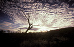 Atmosphere, Meteorology, climate, weather, cloud, clouds, sky, skies, sky scenes, NT, Northern Territory, Australia.