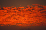 Atmosphere, Meteorology, climate, weather, clouds, sky, skies, sky scenes, sunsets, sunrises and sunsets, mood, mood scene, mood scenes, mood, mood scene, mood scenes, sunset, NT, Northern Territory, Australia.