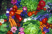 Vegetable, vegetables, Flora, flower, flowers, cosmos, carrot, carrots, lettuce, lettuces, tomato, tomatoes, onion, onions, mixed vegetables, capsicum, capsicums.