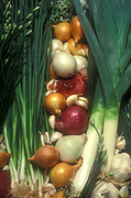 Vegetable, vegetables, chive, chives, garlic, garlic chive, garlic chives, shallot, shallots, onion, onions, leek, leeks, mixed, mixed vegetables.