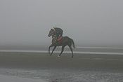 Australia, qld, queensland, bramble bay, race horse, race horses, animal, animals, horse, horses, jockey, jockeys, Sport pictures, Sports, man, men, male, males, occupation, occupations, outdoors, beach, beaches, coast, coasts, coastline, coastlines, water, sandgate.