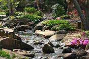 CREEK RUNNING THROUGH THE JAPANESE GARDENS, TOOWOOMBA, QUEENSLAND, AUSTRALIA