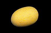 Food, fruit, melon, melons, hami, Hami melon, hami melons, cucumis, Cucumis melo, Cucurbitaceae, muskmelon, muskmelons, chinese hami melon, chinese hami melons.