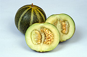 Food, fruit, melon, melons, ogen, ogens, ogen melon, ogen melons, cucumis, melo.