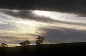 Australia, Atmosphere, Meteorology, climate, weather, clouds, sky, skies, sky scenes, storm, storms, storm cloud, storm clouds, dumbleyung, wa, western australia.