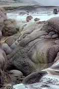 New Zealand, NZ, Rotorua, whakarewewa, thermal, thermal energy, thermal power, brain pot.