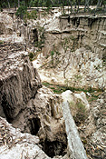 Environmental, environmental damage, erosion, eroded, eroding, erosion gully, gulgong, nsw, new South Wales.