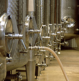 Wine, wine industry, vat, vats, wine vat, wine vats, ferment, ferments, fermenting, fermentation,