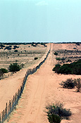 Australia, Australian, Australian desert, Australian deserts, desert, deserts, desert scenes, pest, pests, dingo, dingos, dingoes, fence, fences, dingo, dingo fence, dog fence, dog, dogs, wild, wild dog, wild dogs, feral, feral animal, feral animals, feral dog, feral dogs, native dog, native dogs, fence, fences, dingo fence, outback, australian outback, outback australia, fence, fences, wire, wire fence, wire fences.