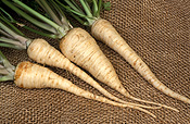 Food, Vegetable, Vegetables, parsley, hamburg parsley, petroselinum, petroselinum crispum, hamburg, turnip rooted parsley, turnip-rooted parsley, crispum, turnip rooted, turnip-rooted.
