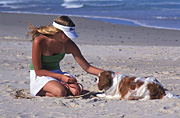 People, child, children, puberty, animal, animals, dog, dogs, domestic, domestic dog, domestic dogs, pet, pets, people, child, children, puberty, teenager, teenagers, teenage girl, teenage girls, girl, girls, female, females, adolescent, adolescents, outdoors, beach, beaches, sand, spaniel, spaniels, king charles, king charles spaniel, king charles spaniels, Royalty Free Image