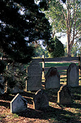 Australia, New South Wales, ebenezergrave, shadow, shadows, graves, graveyard, graveyards, grave yard, grave yards, cemetery, cemeteries, headstone, headstones, head stone, head stones, gravestone, gravestones, grave stone, grave stones, tombstone, tombstones, tomb stone, tomb stones, burial, burials, burial ground, burial grounds, death, deaths.