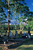 Australia, New South Wales, ebenezergrave, shadow, shadows, graves, graveyard, graveyards, grave yard, grave yards, cemetery, cemeteries, headstone, headstones, head stone, head stones, gravestone, gravestones, grave stone, grave stones, tombstone, tombstones, tomb stone, tomb stones, burial, burials, burial ground, burial grounds, death, deaths.