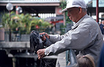 People, man, men, male, males, asian, asians, asian man, asian men, pollute, pollutes, polluting, pollution, water pollution, bird, birds, hat, hats, fishing line, fishing lines.