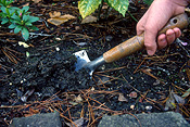 Gardener, gardeners, gardening, hand, hands, soil, tool, tools, gardening tool, gardening tools.