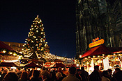 Europe, Germany, Cologne, Cologne cathedral, Architecture, gothic, Altstadt, Altstadt market, Altstadt markets, christmas, christmas scene, christmas scenes, tree, trees, christmas tree, christmas trees, FF25,