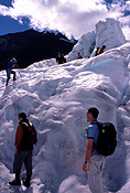 NZ, New Zealand, south island, people, glacier, glaciers, fox glacier, winter, winter scene, winter scenes, snow, cold, coldness, snow scene, snow scenes.