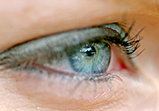Woman, women, female, females, eye, eyes, womans eye, womans eyes, womens eyes, eyelash, eyelashes, eyeshadow, body part, body parts.