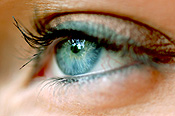 Woman, women, female, females, eye, eyes, womans eye, womans eyes, womens eyes, eyelash, eyelashes, eyeshadow, body part, body parts.