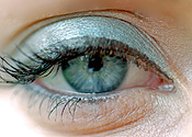 Woman, women, female, females, eye, eyes, womans eye, womans eyes, womens eyes, eyelash, eyelashes, eyeshadow, body part, body parts.