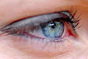Woman, women, female, females, eye, eyes, womans eye, womans eyes, womens eyes, eyelash, eyelashes, eyeshadow, body part, body parts.