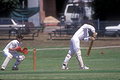 Australia, australian, people, Sport pictures, Sports, cricket, cricket game, cricket games, man, men, male, males, outdoors.