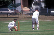 Australia, australian, people, Sport pictures, Sports, cricket, cricket game, cricket games, man, men, male, males, outdoors.