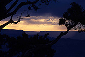America, usa, united states, canyon, canyons, grand, grand canyon, FF25,