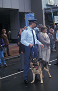 Australia, Australian, Occupation, occupations, policeman, policemen, man, men, male, males, outdoors, police, police force, emergency service, emergency services, emergency service, emergency services, law, law enforcer, law enforcement, law and order, dog, dogs, anzac day, anzac days.