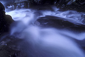 Australia, qld, queensland, springbrook, great dividing range, springbrook national park, springbrook NP, National Park, National Parks, currumbin, currumbin creek, rock, rocks, creek, creeks, water.
