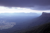 Australia, New South Wales, national park, national parks, border ranges, great dividing range, border ranges np, border ranges national park.
