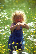 People, child, children, boy, boys, male, males, toddler, toddlers, cry, cries, crying, children crying, crying child, crying children, denim, flower, flowers, daisy, daisies, outdoors, Australia, Sport pictures, Sports, balloon images, hot air balloons