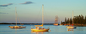 Australia, New South Wales, Port Macquarie, moored, moored boat, moored boats, moored yacht, moored yachts, boat, boats, boating, yacht, yachts, tallship, tallships, tall ship, tall ships.