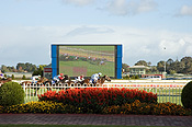 Australia, sa, south australia, caulfied, caulfield races, caulfield race track, race track, race tracks, Sport pictures, Sports, animal, animals, horse, horses, race, races, racing, horserace, horseraces, horseracing, horse race, horse races, horse racing, jockey, jockeys, uniform, uniforms, race track, race tracks, people, man, men, fence, fences.