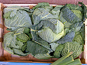 Vegetable, vegetables, cabbage, cabbages, box, boxes, packaging, EK14,