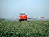 Farming, Farmland, farm, farms, Agriculture, rural, rural scene, rural scenes, crop, crops, wheat, wheat crop, wheat crops, bamlett, spreader, spreaders, fertilizer, fertilise, fertilising, machinery.