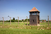 Poland, Oswiecim, oshwiecim, prison, prisons, jail, jails, gaol, gaols, auschwitz, birkenau, auschwitz-birkenau, murder, murders, crime, crimes, criminal, genocide, tragedy, tragedies, concentration camp, concentration camps, exterminate, exterminated, extermination camp, extermination camps, nazi, nazis, genocide, himmler, galacia, death, death camp, death camps, fence, fences, barbed wire, barbed wire fence, barbed wire fences, tower, towers, lookout tower, lookout towers, FF25,