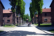 Poland, Oswiecim, oshwiecim, prison, prisons, jail, jails, gaol, gaols, auschwitz, birkenau, tree, trees, auschwitz-birkenau, murder, murders, crime, crimes, criminal, genocide, tragedy, tragedies, concentration camp, concentration camps, exterminate, exterminated, extermination camp, extermination camps, tree, trees, nazi, nazis, genocide, himmler, galacia, death, death camp, death camps, cell, cells, prison, prisons, jail, jails, gaol, gaols, tree, trees, FF25,