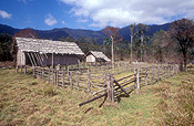Papua new guinea, png, kokoda, kokoda trail, kokoda track, hut, huts, house, houses, housing, fence, fences.