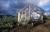 Papua new guinea, png, kokoda, kokoda trail, kokoda track, hut, huts, house, houses, housing, roof, roofs, rooves.