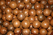 Australia, qld, queensland, nut, nuts, macadamia nut, macadamia nuts, macadamia, proteaceae, queensland nut, queensland nuts, maroochi, maroochi nut, maroochi nuts, kindal kindal, jindilli, plantation, plantations, rural, rural scene, rural scenes.