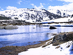 Australia, New South Wales, spencers creek, creek, creeks, water, snowy mountains, snow, snow scene, snow scenes, winter, winter scene, winter scenes, thaw, thaws, thawing, alp, alps.