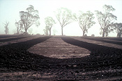 Australia, Farming, Farmland, farm, farms, climate, weather, drought, drought scenes, drought scenes, rural, rural scene, rural scenes, disasters, natural disasters.