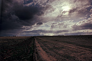 Australia, Atmosphere, Meteorology, Climate, Weather, storm, storms, storm cloud, storm clouds, cloud, clouds, sky, skies, deniliquin, NSW, New South Wales, australia, outback, australian outback, fence, fences, track, tracks, road, roads, unsealed, unsealed road, unsealed roads, dirt track, dirt tracks.